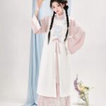 Ming Dynasty Clothing Fashion Hanfu Dress Women