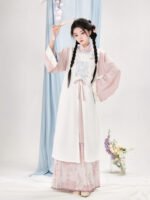 Ming Dynasty Clothing Fashion Hanfu Dress Women