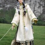 Ming Dynasty Clothing Female Embroidery Hanfu Winter