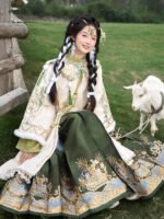 Ming Dynasty Clothing Female Embroidery Hanfu Winter - Image 2