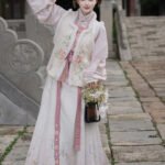 Ming Dynasty Hanfu Dress Women Autumn Winter