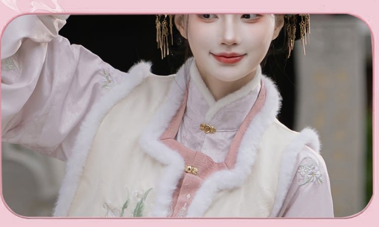 Ming Dynasty Hanfu Dress Women Autumn Winter