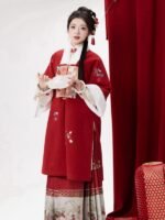 Ming Dynasty Hanfu Red Chinese New Year Clothing - Image 4