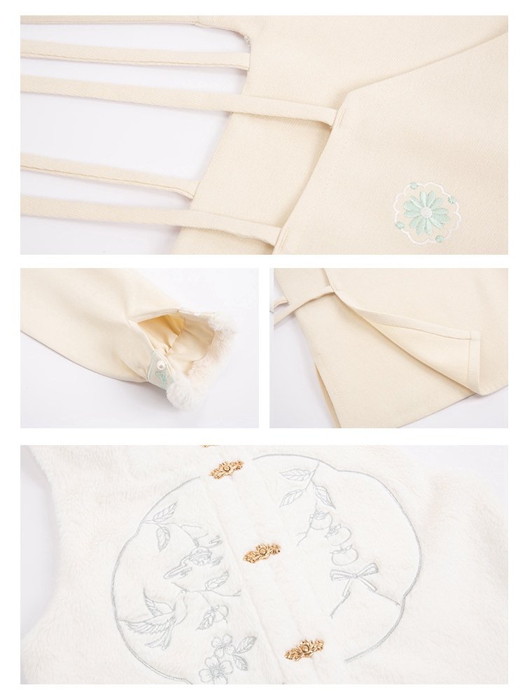 Ming Dynasty Improvement Hanfu For Winter Women