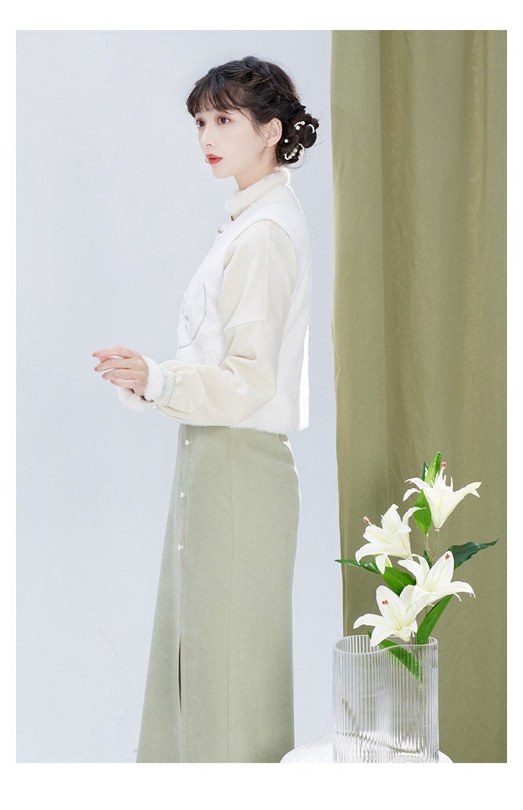 Ming Dynasty Improvement Hanfu For Winter Women