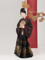 Ming Dynasty Outfit Chinese Hanfu Dress Women