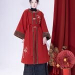 Ming Dynasty Style Long Coat Womens Modern Hanfu Winter