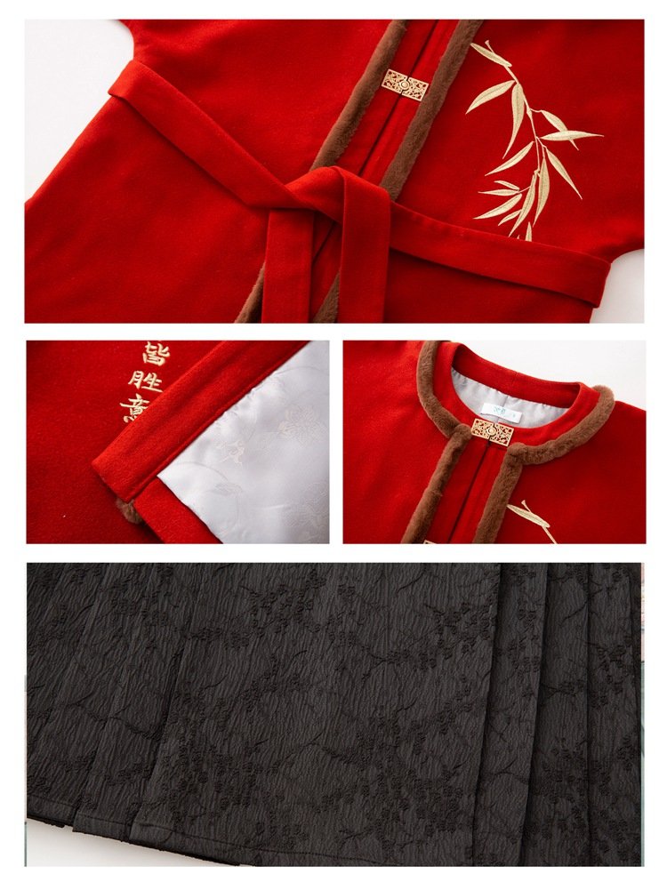 Ming Dynasty Style Long Coat Womens Modern Hanfu Winter
