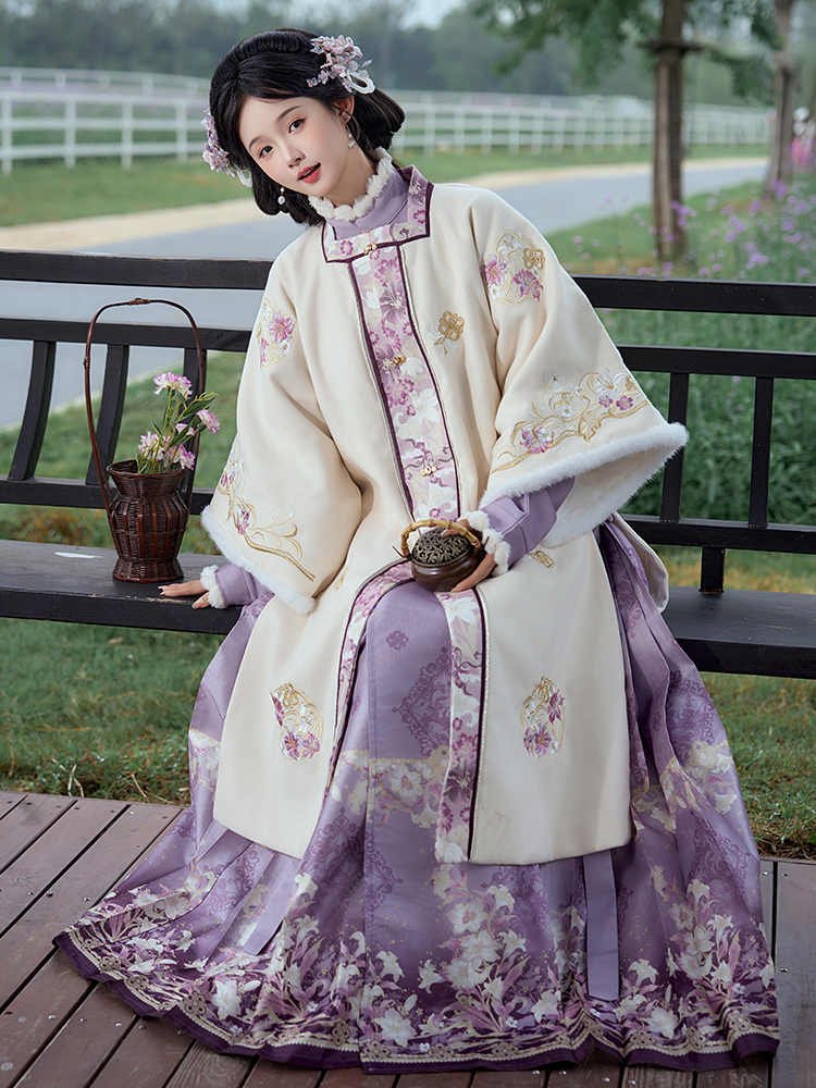 Ming Dynasty Women's Clothing Winter Hanfu