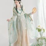 North and South Dynasty Hanfu Female Embroidery Chinese Costume
