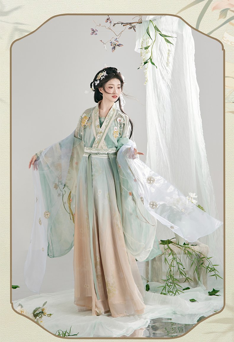 North and South Dynasty Hanfu Female Embroidery Chinese Costume