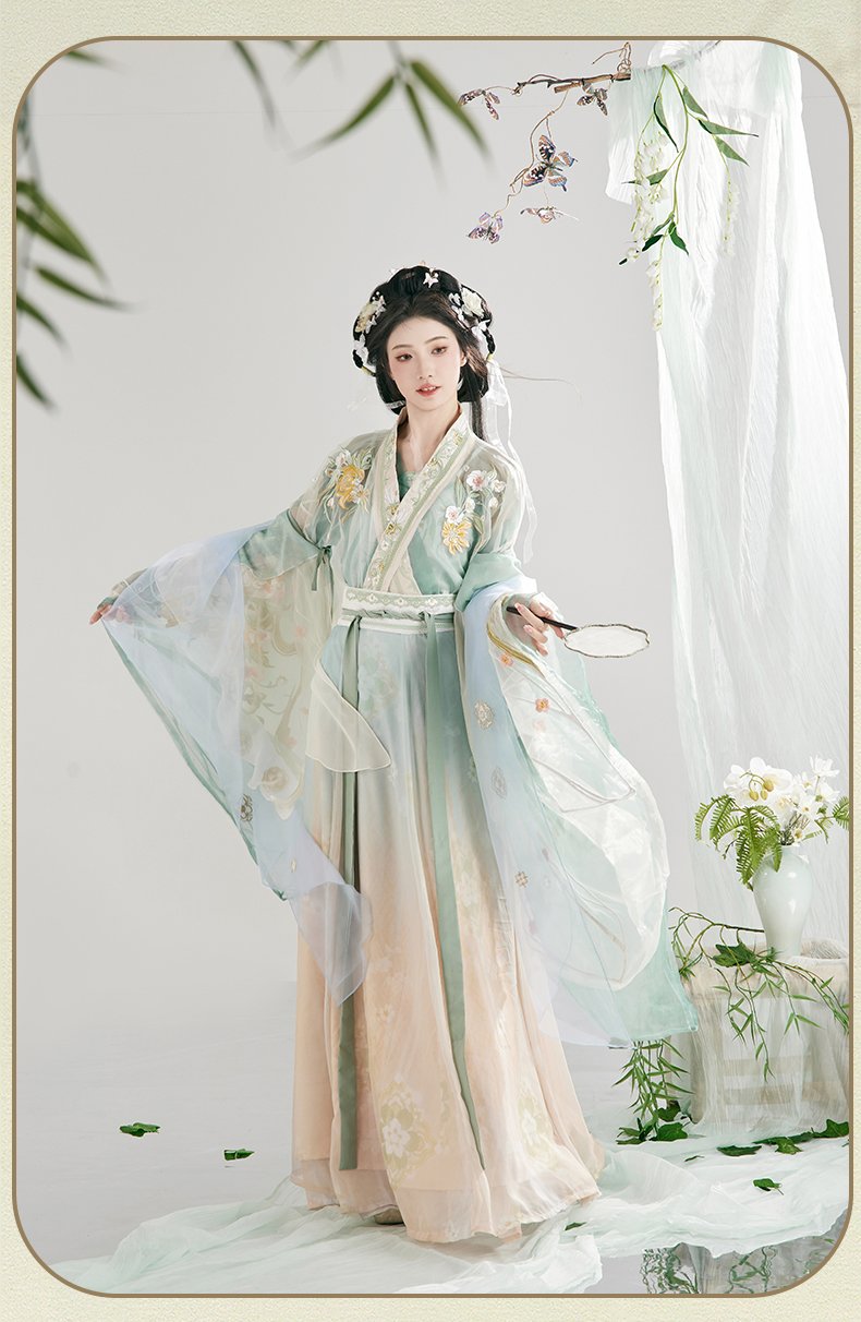 North and South Dynasty Hanfu Female Embroidery Chinese Costume