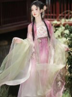 Old Chinese Traditional Dress Embroidered Tang Hanfu