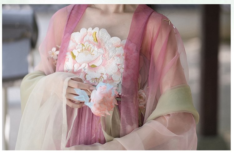 Old Chinese Traditional Dress Embroidered Tang Hanfu
