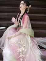 Old Chinese Traditional Dress Embroidered Tang Hanfu - Image 2