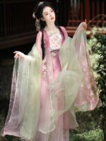 Old Chinese Traditional Dress Embroidered Tang Hanfu - Image 3