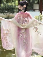 Old Chinese Traditional Dress Embroidered Tang Hanfu - Image 4