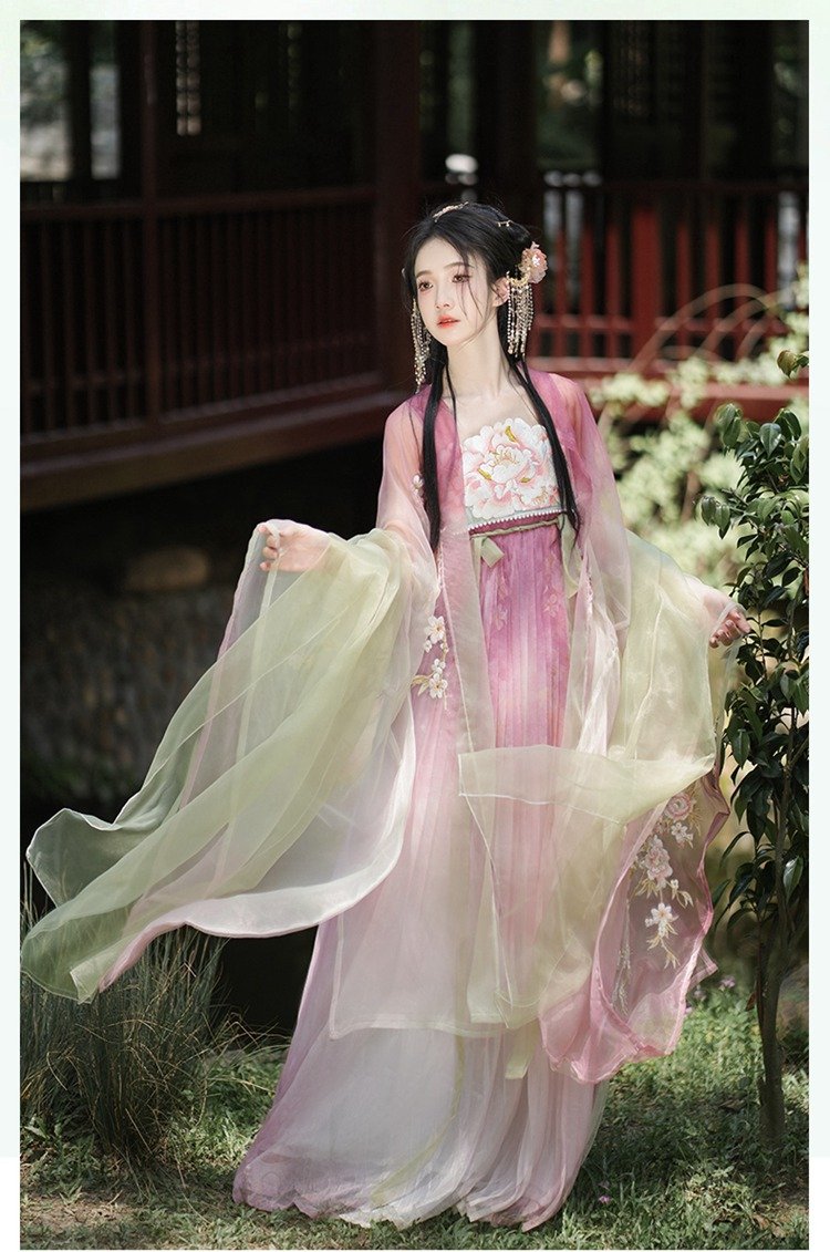 Old Chinese Traditional Dress Embroidered Tang Hanfu