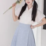 Short Hanfu Embroidery Top and Horse Face Skirt