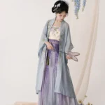 Song Dynasty Hanfu Women Chinese Traditional Clothing