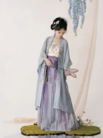 Song Dynasty Hanfu Women Chinese Traditional Clothing