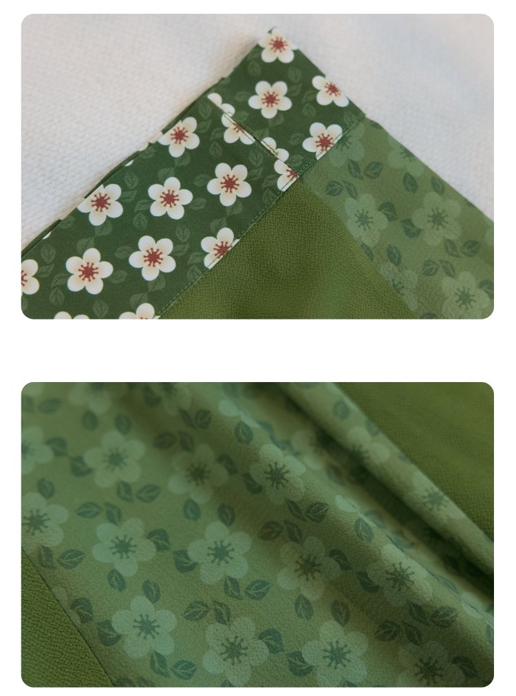Spring Hanfu Tang Dynasty Clothing
