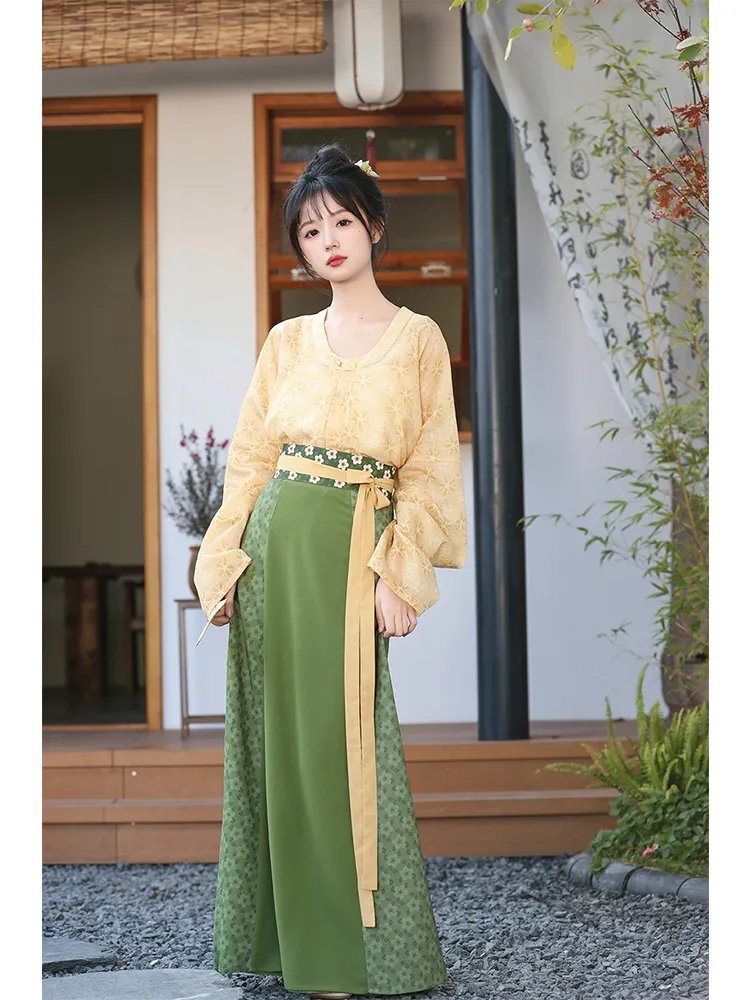Spring Hanfu Tang Dynasty Clothing