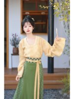 Spring Hanfu Tang Dynasty Clothing - Image 3