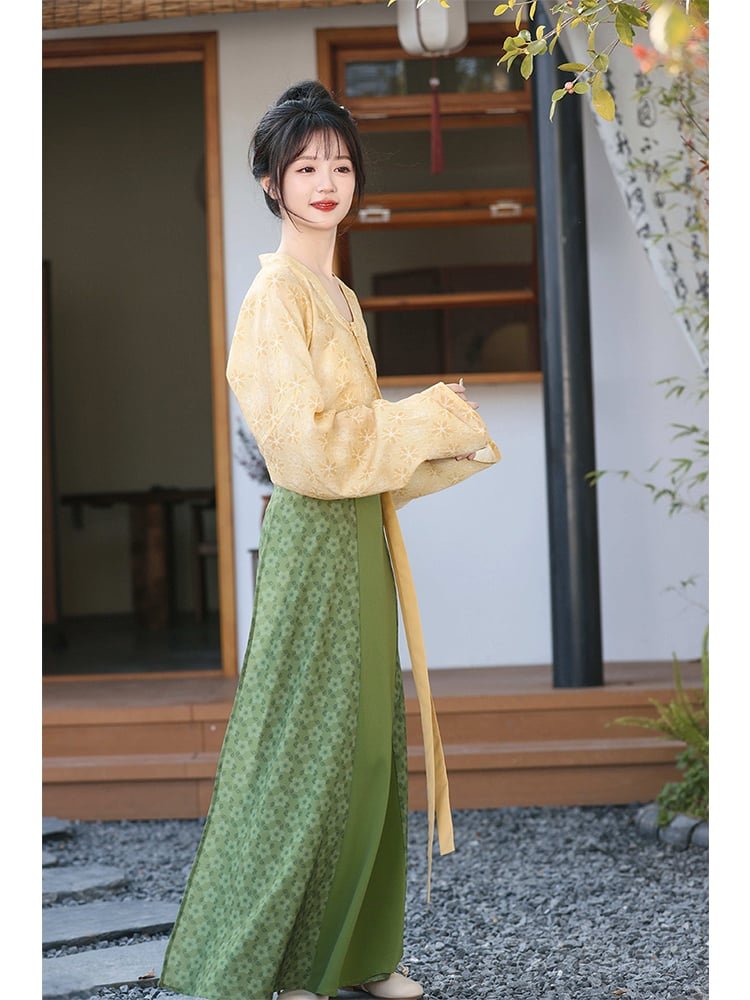 Spring Hanfu Tang Dynasty Clothing