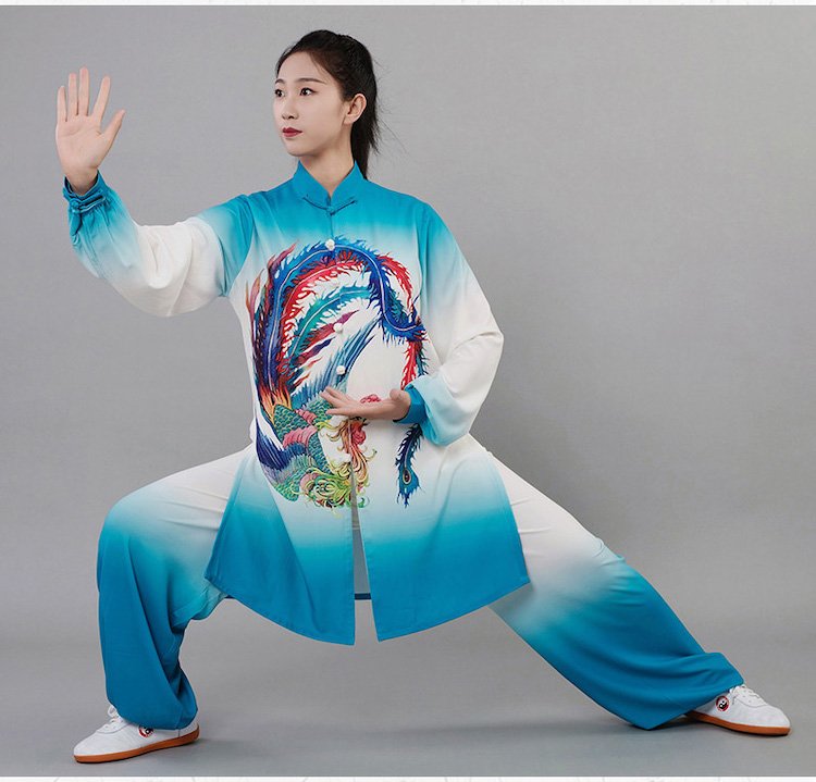 Tai Chi Practice Suit Gradient Martial Arts Clothing