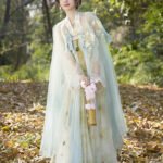 Tang Dynasty Chinese Hanfu Wome Embroidery Dress