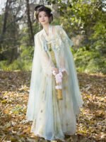 Tang Dynasty Chinese Hanfu Wome Embroidery Dress