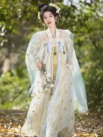 Tang Dynasty Chinese Hanfu Wome Embroidery Dress - Image 3