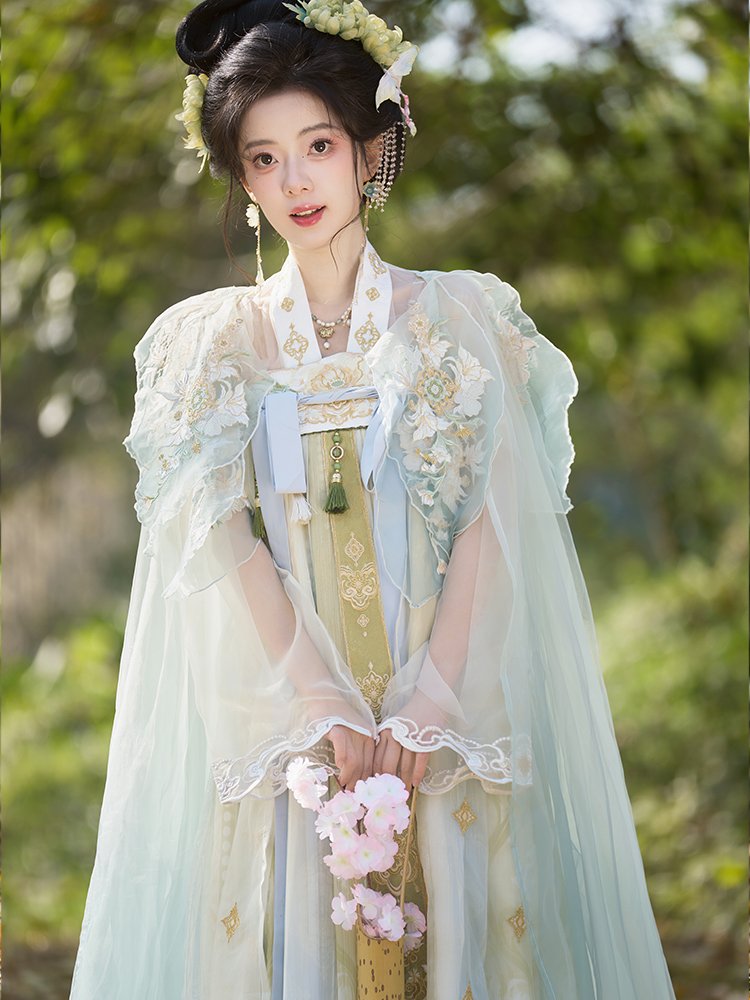 Tang Dynasty Chinese Hanfu Wome Embroidery Dress