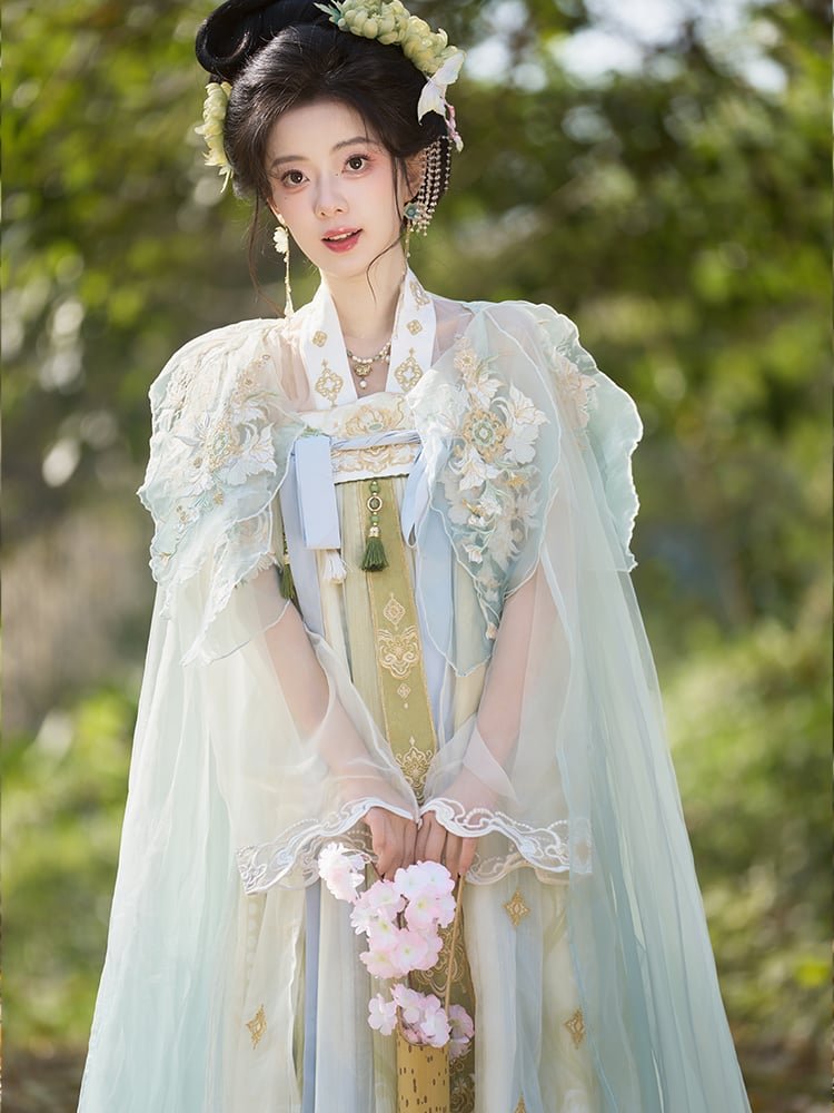 Tang Dynasty Chinese Hanfu Wome Embroidery Dress