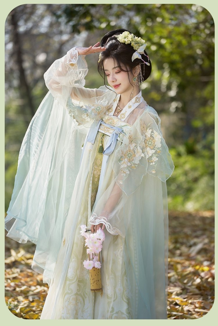 Tang Dynasty Chinese Hanfu Wome Embroidery Dress