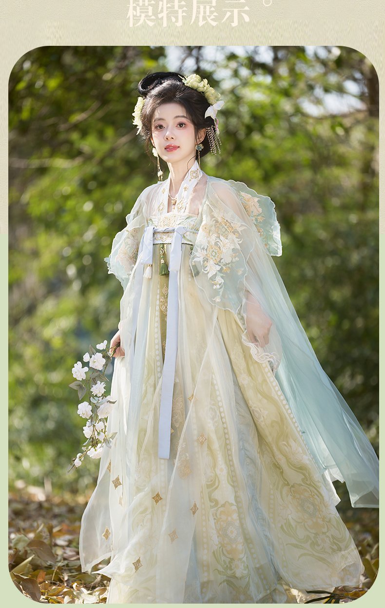 Tang Dynasty Chinese Hanfu Wome Embroidery Dress