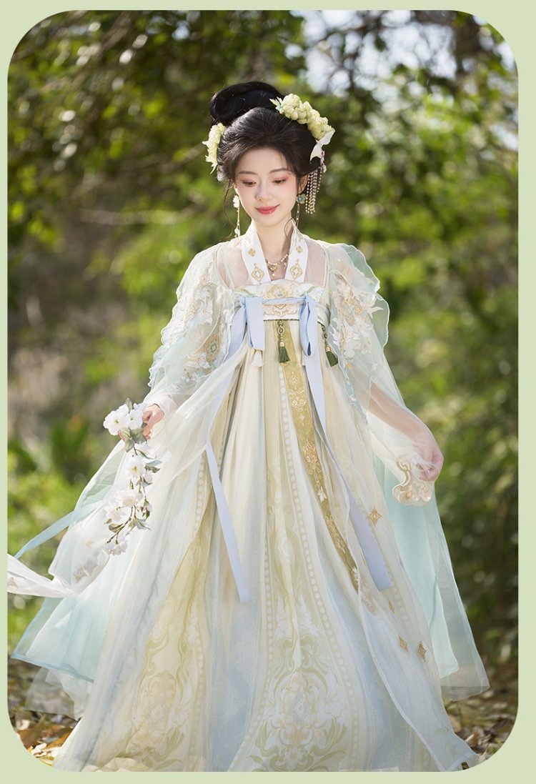 Tang Dynasty Chinese Hanfu Wome Embroidery Dress