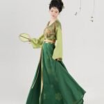 Tang Dynasty Clothes Dunhuang Style Hanfu Dress