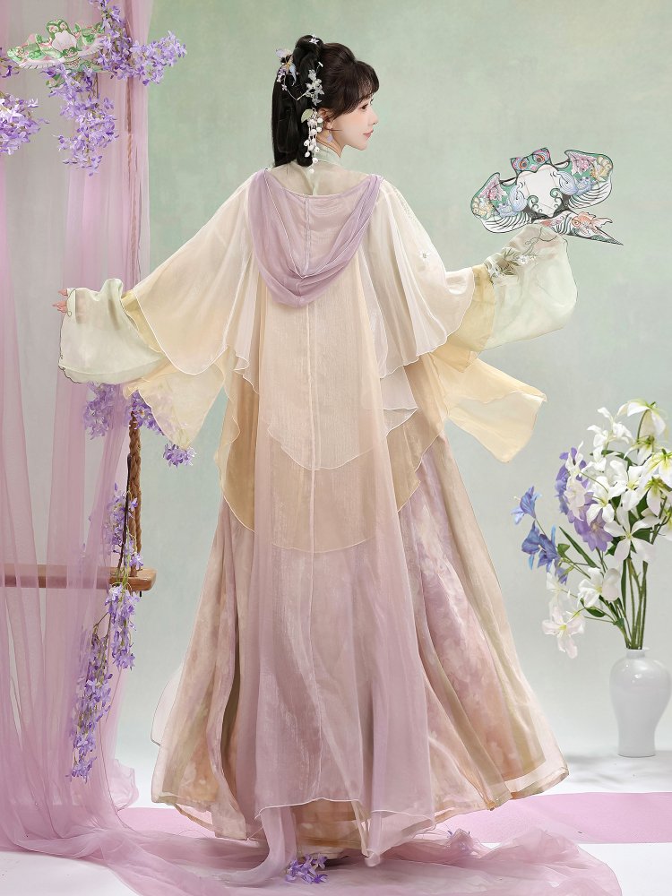 Tang Dynasty Clothing Ruqun Hanfu Dress