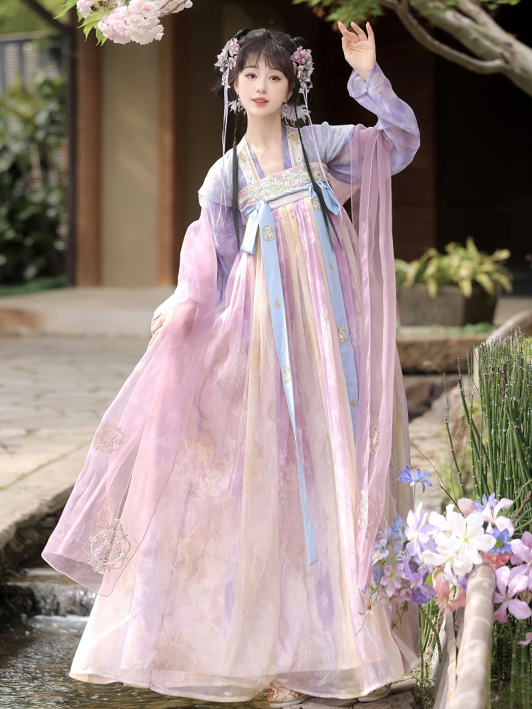 Tang Style Princess Hanfu Dress with Embroidery