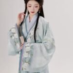 Traditional Chinese Clothing Jin Dynasty Hanfu Women
