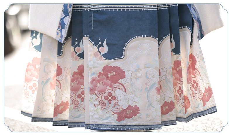 Traditional Chinese Costumes Ming Dynasty Hanfu Plush
