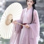 Traditional Chinese Dress Female Purple Hanfu Dress