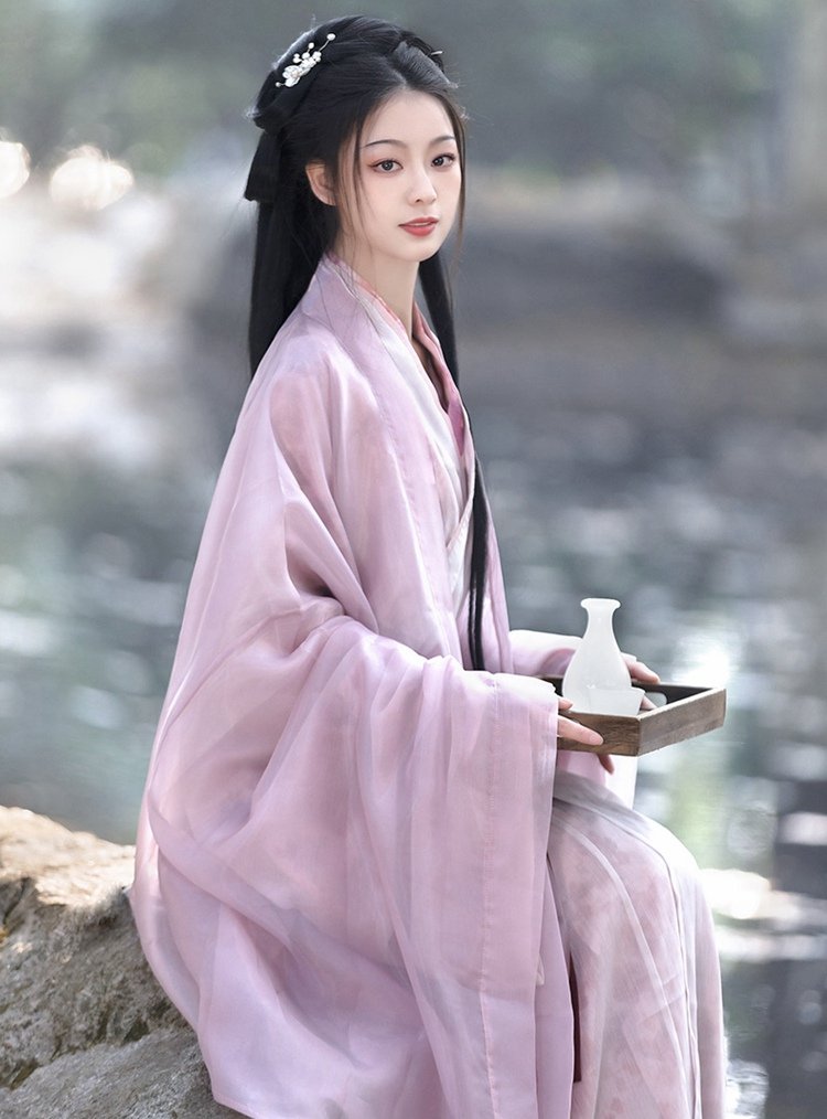 Traditional Chinese Dress Female Purple Hanfu Dress