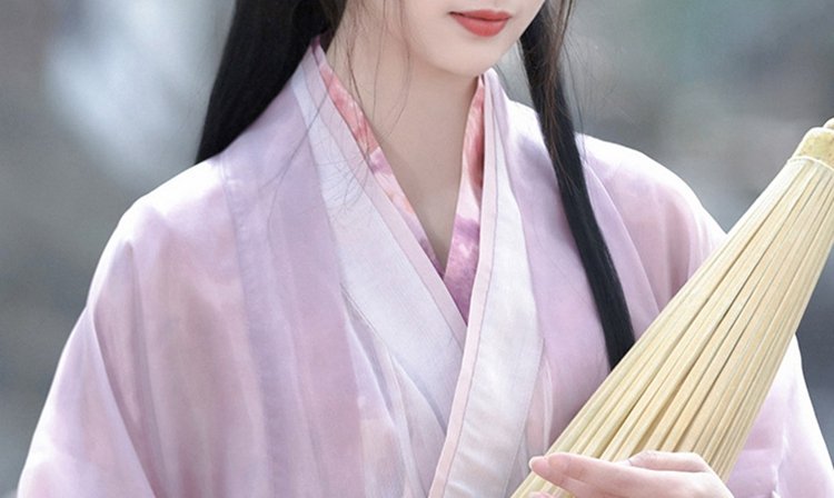 Traditional Chinese Dress Female Purple Hanfu Dress