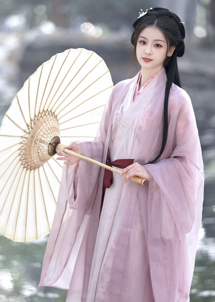 Traditional Chinese Dress Female Purple Hanfu Dress