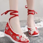 Traditional Chinese Costume Embroidered Shoes Womens