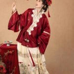 Traditional Chinese New Year Dress Ming Style Hanfu