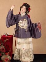 Traditional Chinese New Year Dress Ming Style Hanfu - Image 4